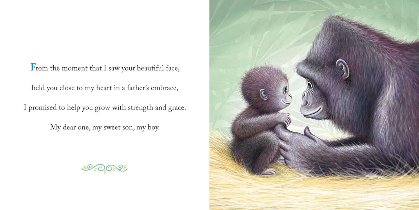 Why a Son Needs a Dad Picture Book for Fathers and Sons